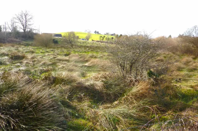 Photo of 5.24 Acres Of Land, Carrowbaun, Westport, Co Mayo