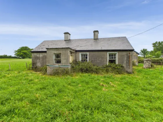 Photo of Spring Garden, Tynagh, Loughrea, Co. Galway