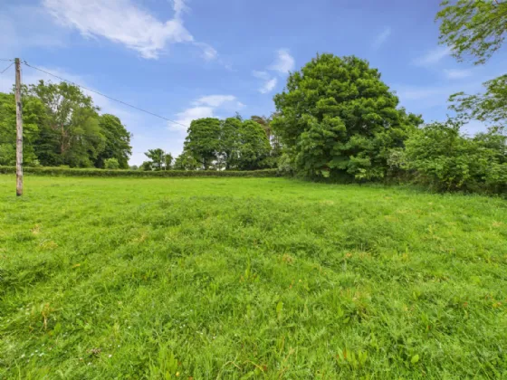 Photo of Spring Garden, Tynagh, Loughrea, Co. Galway