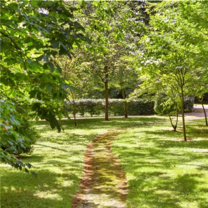 Photo of Fedamore House, Fedamore, Limerick, V35 V267