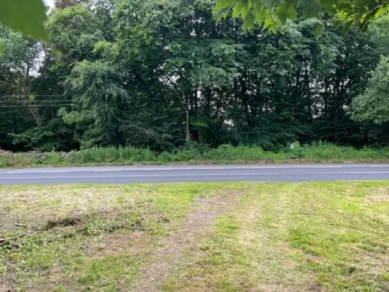 Photo of Derelict Bungalow On Circa 1.59 Acr, Brownsbarn, Thomastown, Co Kilkenny, R95 AK5V