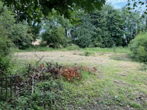 Photo of Derelict Bungalow On Circa 1.59 Acr, Brownsbarn, Thomastown, Co Kilkenny, R95 AK5V