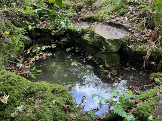 Photo of Derelict Bungalow On Circa 1.59 Acr, Brownsbarn, Thomastown, Co Kilkenny, R95 AK5V