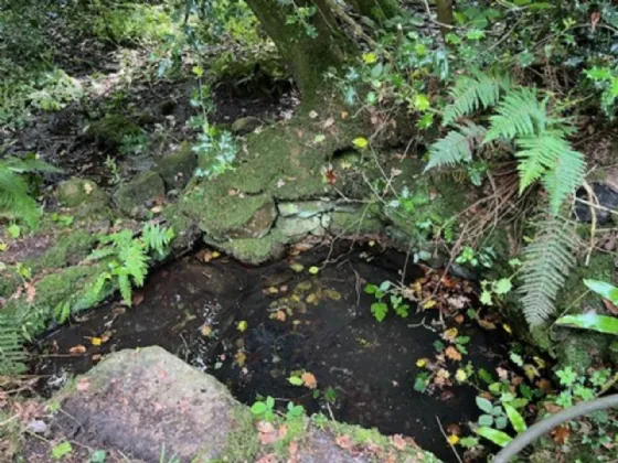 Photo of Derelict Bungalow On Circa 1.59 Acr, Brownsbarn, Thomastown, Co Kilkenny, R95 AK5V