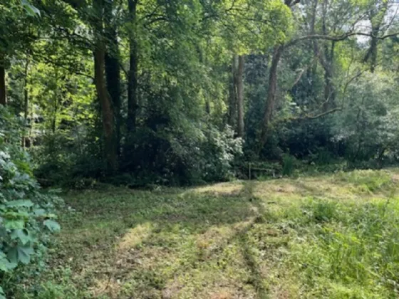 Photo of Derelict Bungalow On Circa 1.59 Acr, Brownsbarn, Thomastown, Co Kilkenny, R95 AK5V