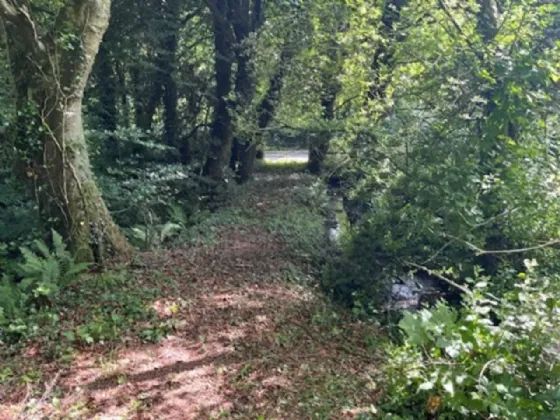 Photo of Derelict Bungalow On Circa 1.59 Acr, Brownsbarn, Thomastown, Co Kilkenny, R95 AK5V