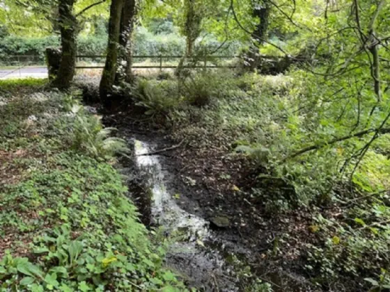 Photo of Derelict Bungalow On Circa 1.59 Acr, Brownsbarn, Thomastown, Co Kilkenny, R95 AK5V
