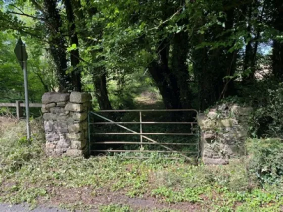Photo of Derelict Bungalow On Circa 1.59 Acr, Brownsbarn, Thomastown, Co Kilkenny, R95 AK5V