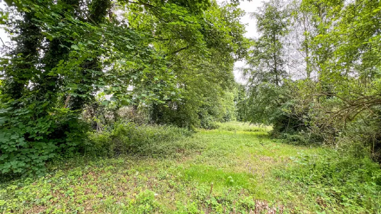 Photo of Derelict Bungalow On Circa 1.59 Acr, Brownsbarn, Thomastown, Co Kilkenny, R95 AK5V