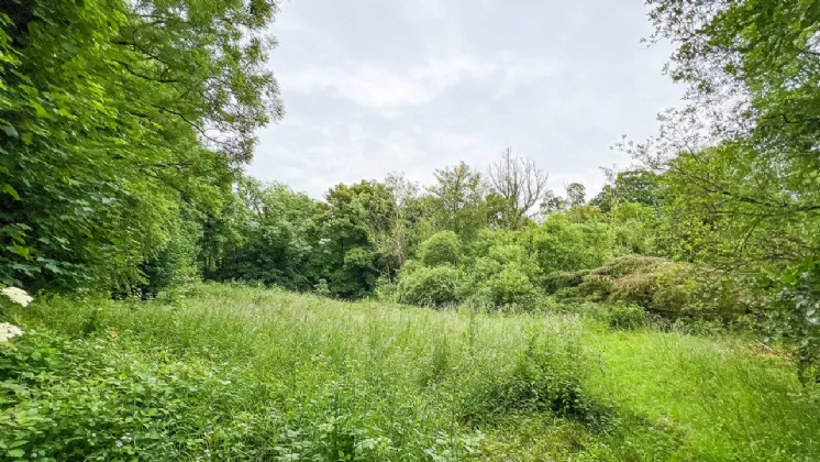 Photo of Derelict Bungalow On Circa 1.59 Acr, Brownsbarn, Thomastown, Co Kilkenny, R95 AK5V