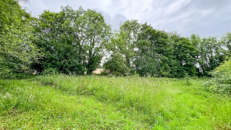 Photo of Derelict Bungalow On Circa 1.59 Acr, Brownsbarn, Thomastown, Co Kilkenny, R95 AK5V