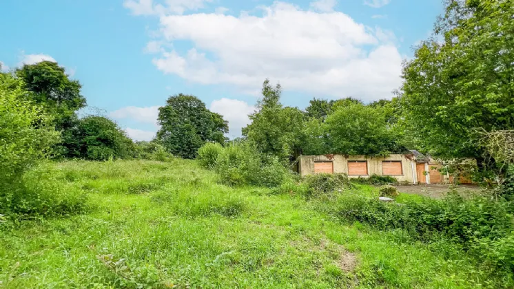 Photo of Derelict Bungalow On Circa 1.59 Acr, Brownsbarn, Thomastown, Co Kilkenny, R95 AK5V