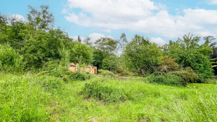 Photo of Derelict Bungalow On Circa 1.59 Acr, Brownsbarn, Thomastown, Co Kilkenny, R95 AK5V