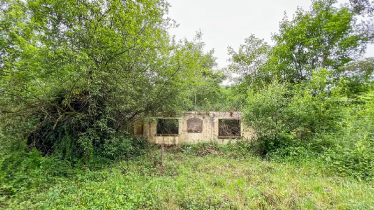 Photo of Derelict Bungalow On Circa 1.59 Acr, Brownsbarn, Thomastown, Co Kilkenny, R95 AK5V
