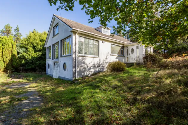 Photo of Pehuen, Shelmalier Commons, Barntown, Co. Wexford, Y35 E1W1