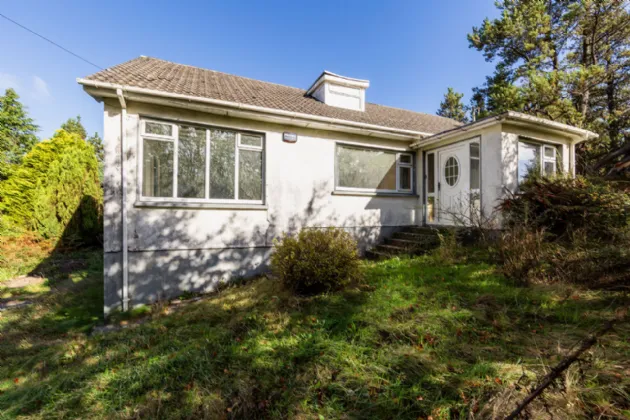 Photo of Pehuen, Shelmalier Commons, Barntown, Co. Wexford, Y35 E1W1