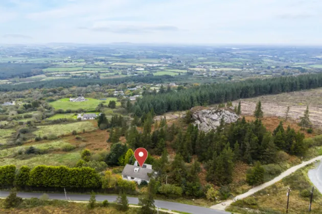 Photo of Pehuen, Shelmalier Commons, Barntown, Co. Wexford, Y35 E1W1