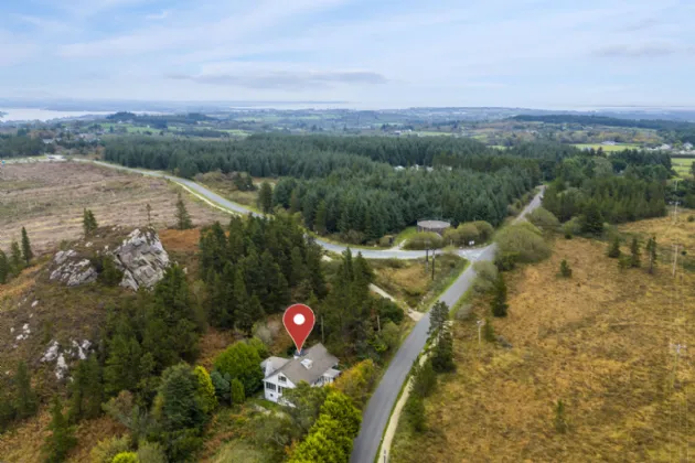 Photo of Pehuen, Shelmalier Commons, Barntown, Co. Wexford, Y35 E1W1