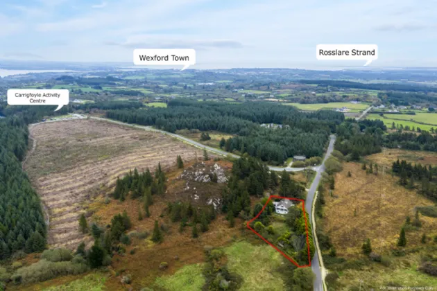 Photo of Pehuen, Shelmalier Commons, Barntown, Co. Wexford, Y35 E1W1