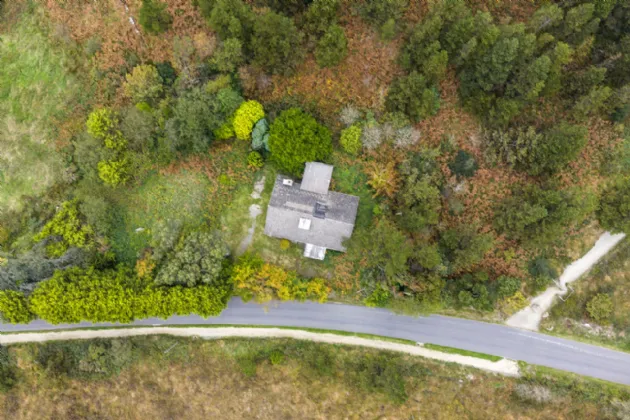 Photo of Pehuen, Shelmalier Commons, Barntown, Co. Wexford, Y35 E1W1