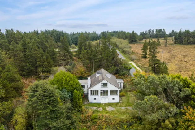 Photo of Pehuen, Shelmalier Commons, Barntown, Co. Wexford, Y35 E1W1