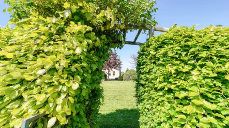 Photo of Cross Aghaboe, Ballacolla,, Co.Laois, R32X952