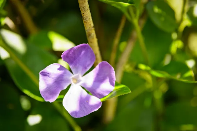 Photo of Mullanyduff, Castlegal, Co. Leitrim, F91F9T4