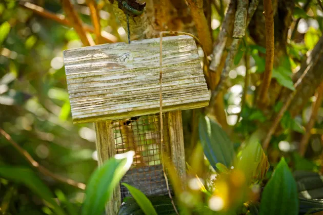 Photo of Mullanyduff, Castlegal, Co. Leitrim, F91F9T4