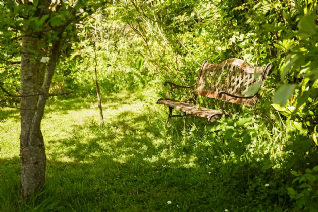 Photo of Mullanyduff, Castlegal, Co. Leitrim, F91F9T4