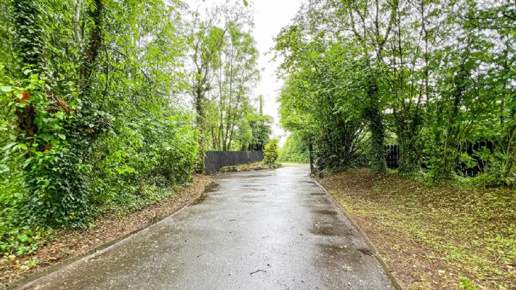 Photo of Tall Trees, Jerpoint West, Station Road, Thomastown, Co Kilkenny, R95 H2D7