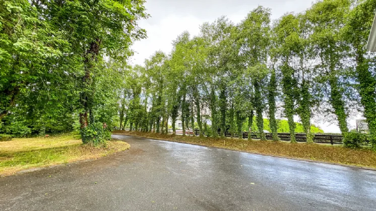Photo of Tall Trees, Jerpoint West, Station Road, Thomastown, Co Kilkenny, R95 H2D7