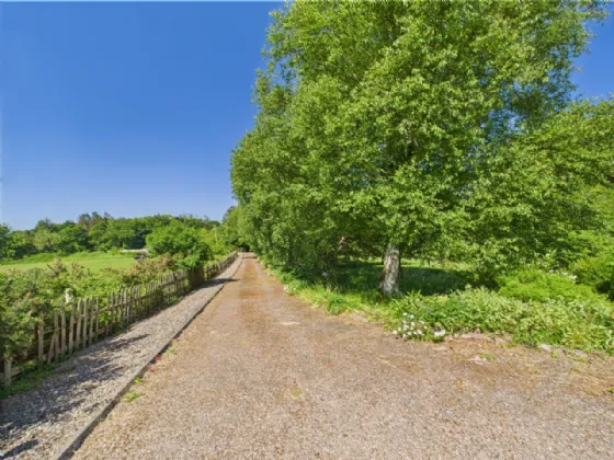 Photo of Shanakill Upper, Ballinderry, Nenagh, Co. Tipperary, E45 H006