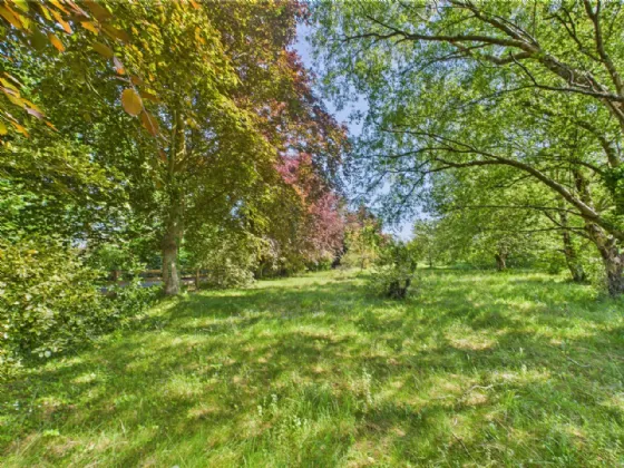 Photo of Shanakill Upper, Ballinderry, Nenagh, Co. Tipperary, E45 H006