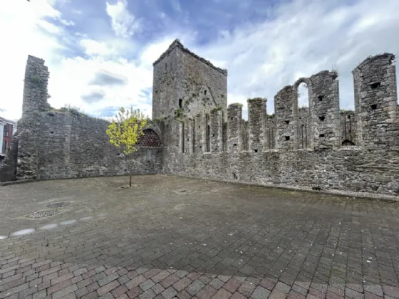 Photo of Apartment 39, Dominic's Abbey, Bank Place, Cashel, E25CC79