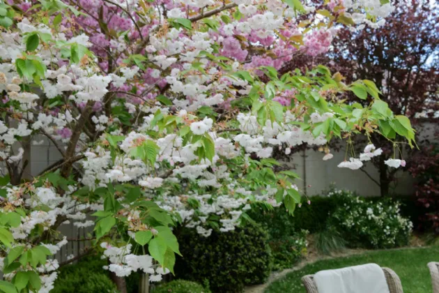 Photo of 16 Cherrybrook,, Foxburrow,, Portlaoise, Laois, R32R1VT