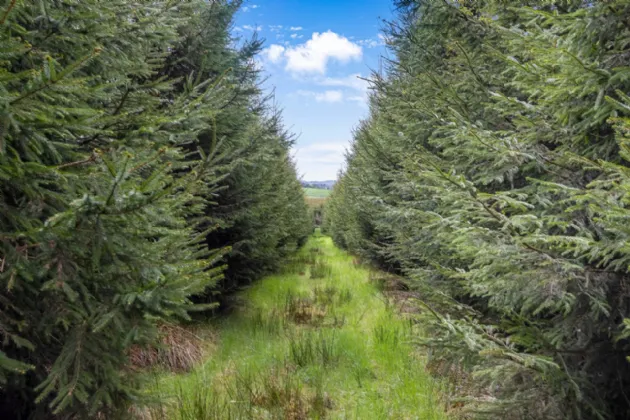 Photo of Maghernaharney, Rockcorry, Co. Monaghan, H18EY02