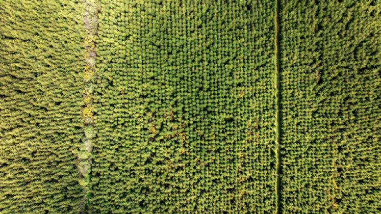 Photo of Maghernaharney, Rockcorry, Co. Monaghan, H18EY02