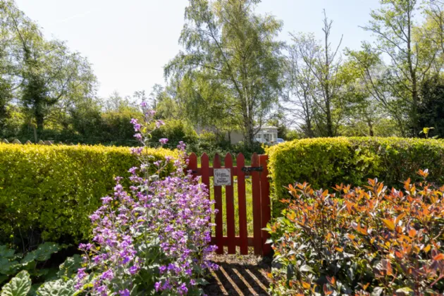 Photo of Mountain View, Tinashrule, Ferns, Co. Wexford, Y21YW20