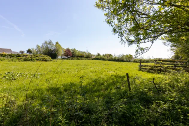 Photo of Mountain View, Tinashrule, Ferns, Co. Wexford, Y21YW20