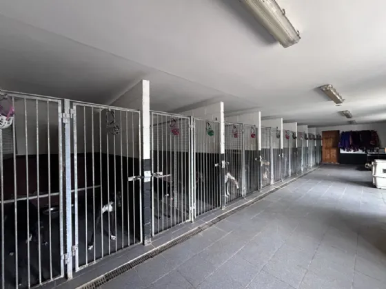 Photo of Masterstown, New Inn, Cashel, Co. Tipperary, E25FW64