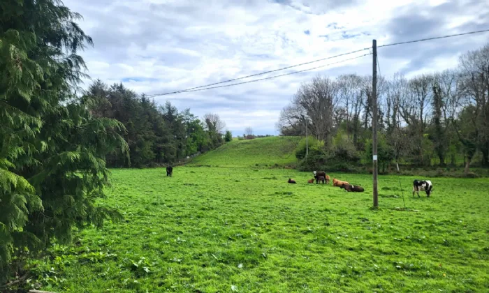 Photo of Site SPP Bunrawer, Ayle, Westport, Co Mayo