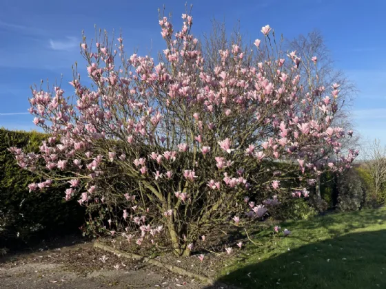 Photo of Aigna, Roperstown, Oilgate, Enniscorthy, Co. Wexford, Y21 EK25