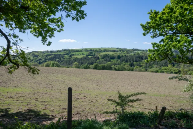 Photo of Little Oaks, Carrignaveen, Canons Cross, Inniscarra, Co Cork, P31EV80