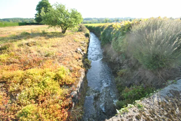 Photo of Timeighter, Roscrea, Co. Tipperary