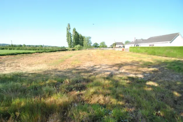 Photo of Timeighter, Roscrea, Co. Tipperary