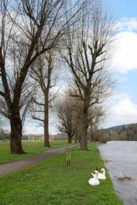 Photo of 12 Merton, Model Farm Road, Cork, T12 K8VX