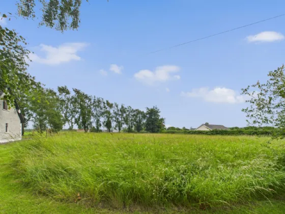Photo of Sheelruddera, Terryglass, Co. Tipperary, E45 K447