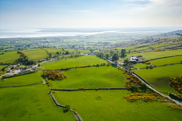 Photo of 3.5 Acres Grazing Lands, Jenkinstown, Co. Louth