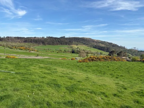 Photo of 3.5 Acres Grazing Lands, Jenkinstown, Co. Louth