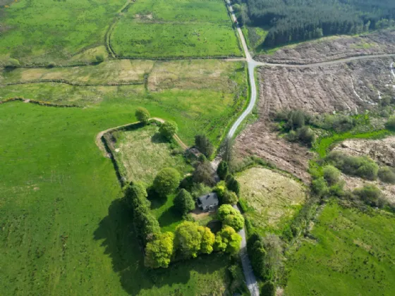 Photo of Gort, Milestone, Thurles, Co. Tipperary, E41 XR76